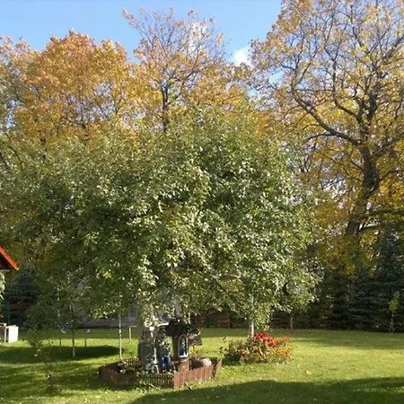 Farma Siedlisko Kozlowiec *