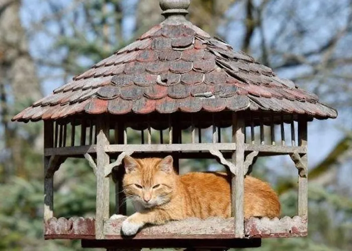 Lantgård Kozlowiec Dziemiany