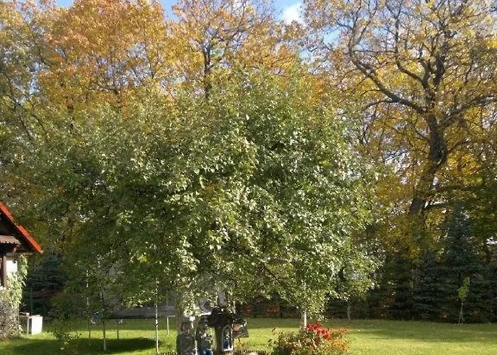 Lantgård Kozlowiec *